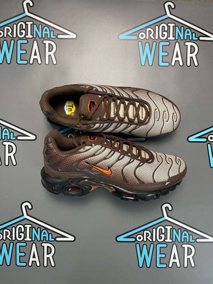 Nike Air Max TN “Brown Destiny”